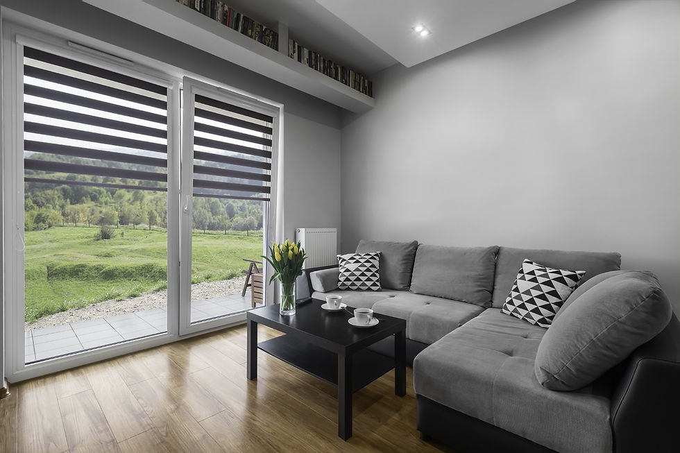 Zebra Blinds