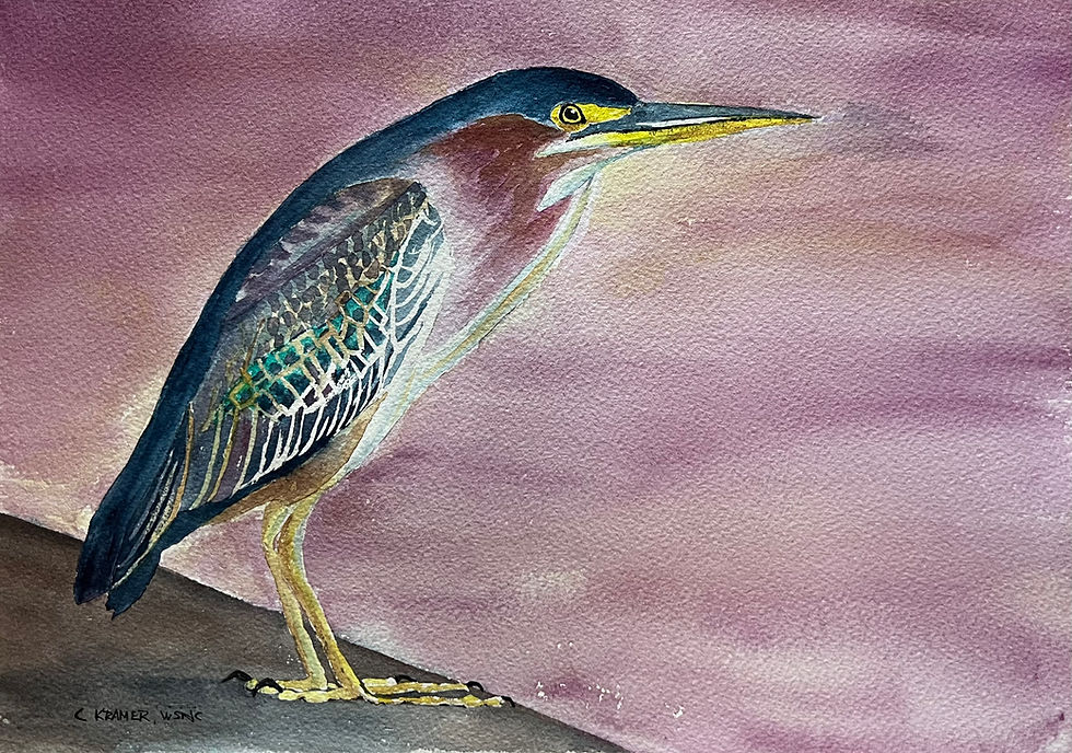 Green Heron (26.014)