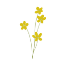 parco elisir d'amore