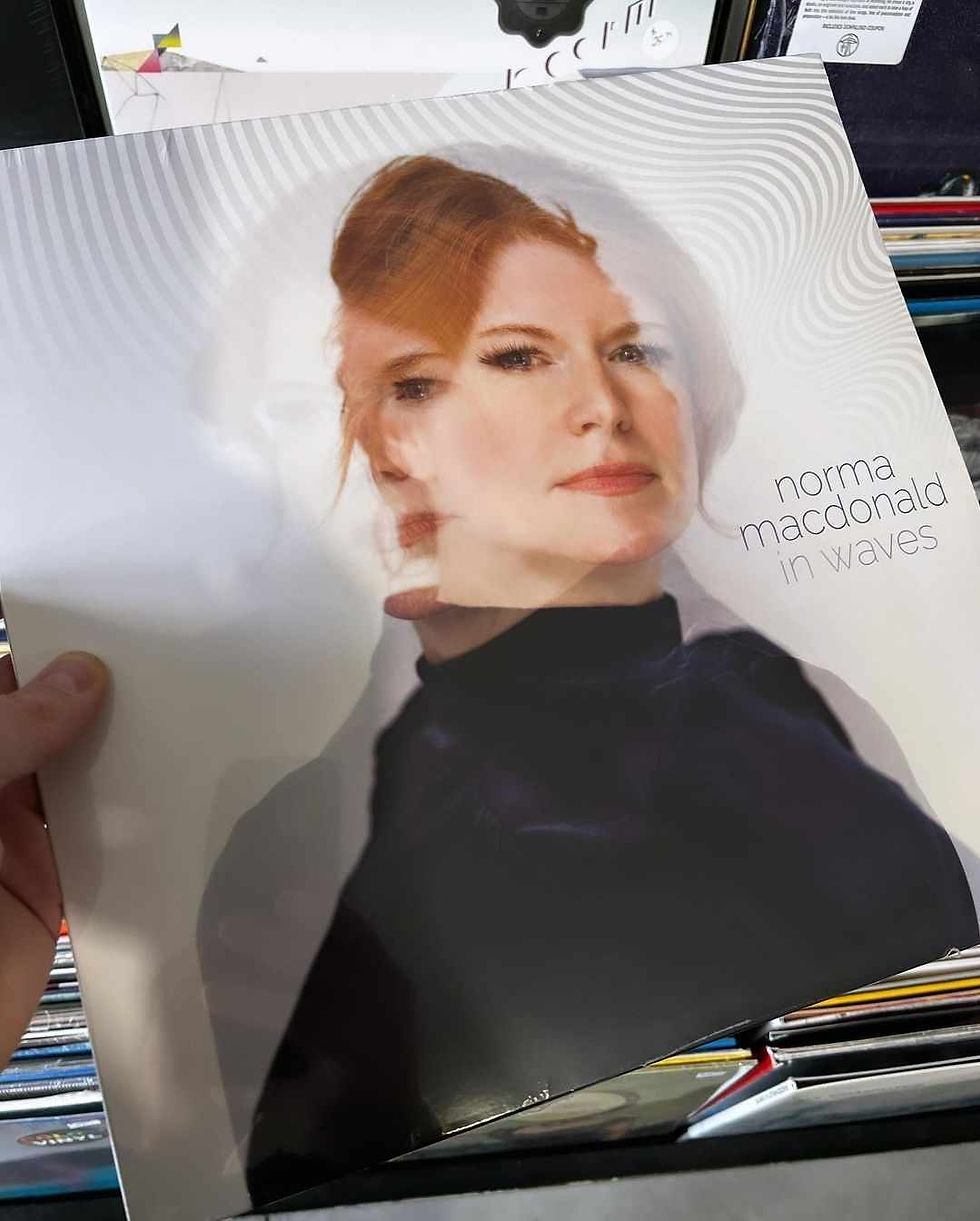 Shopping for the Local Lover Unique Holiday Gift Ideas from North End