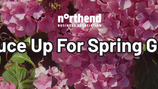 2025 Spruce Up For Spring Grant for NEBA Members
