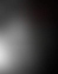 BARABARA JORDAN The Voice of the Constitution