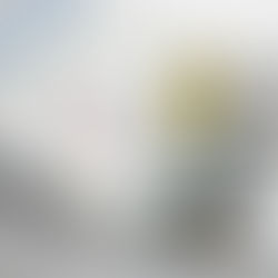 Guide horaires TUS 2015/2016