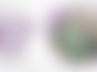 A Beginner’s Guide to Basic Gardening: Tools, Soil, and More