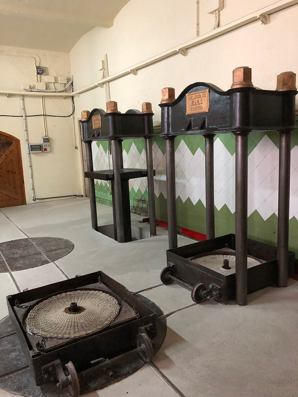 CELLER