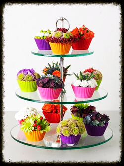 Plateau de mignardises