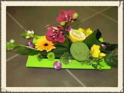 Fleurs et fruits exotiques