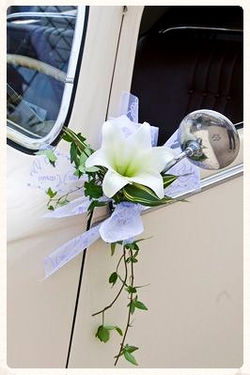 Décoration du véhicule