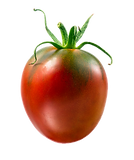 Cherry Tomato