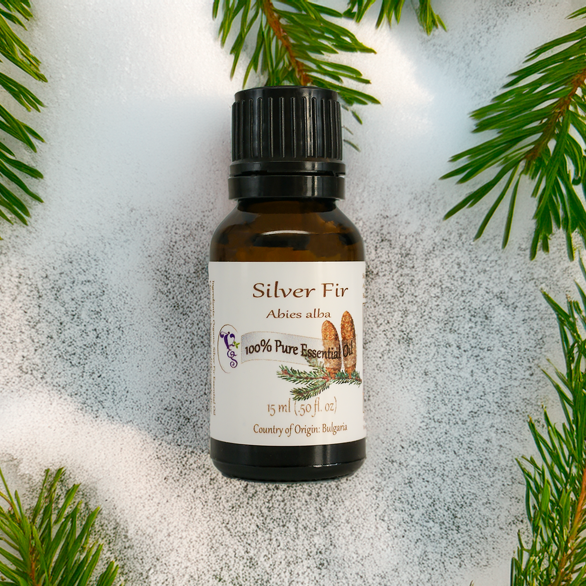 Silver Fir Essential Oil