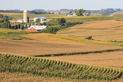 istockphoto-613868532-612x612.jpg