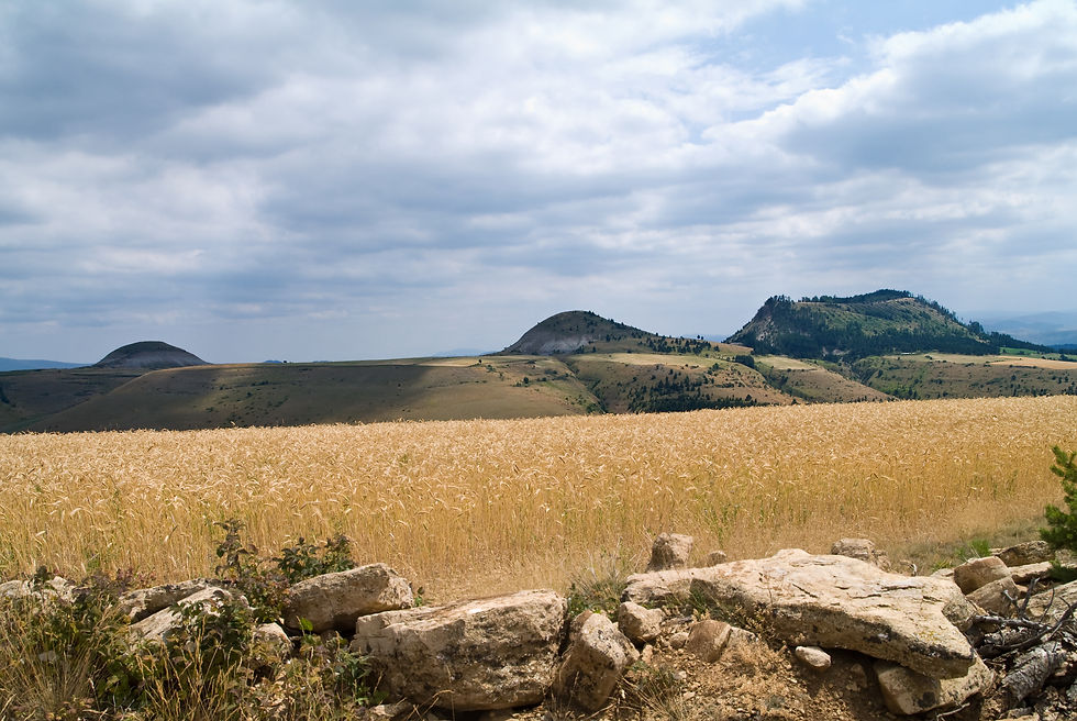 cevennes.jpg