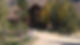 Cabin 3.JPG