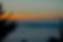 DSC_1594 2.jpeg