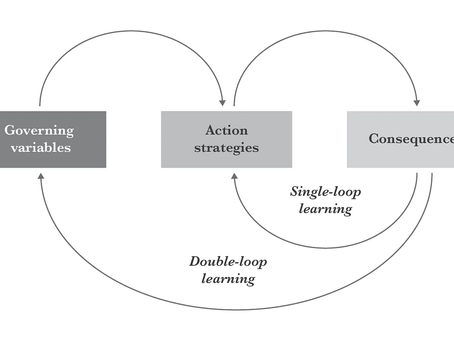 Reinforcing Double-loop Learning by Adopting Play in the Development of a Service Designer