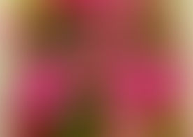 Дорогі мами і бабусі! Запрошуємо Вас на свято весни 7 березня о 12.00!