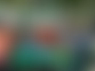 У нашій гімназії - гості