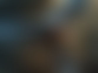 Genetic-Designed Alien Craft.