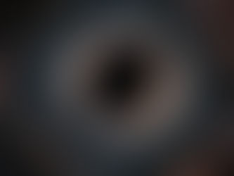 Are We Living Inside a Black Hole?