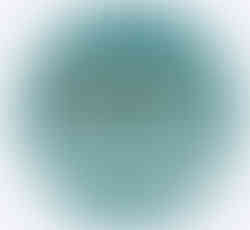 Certificación EDMRIA, Aurora Luna Walss