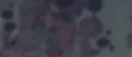 Section Background.webp