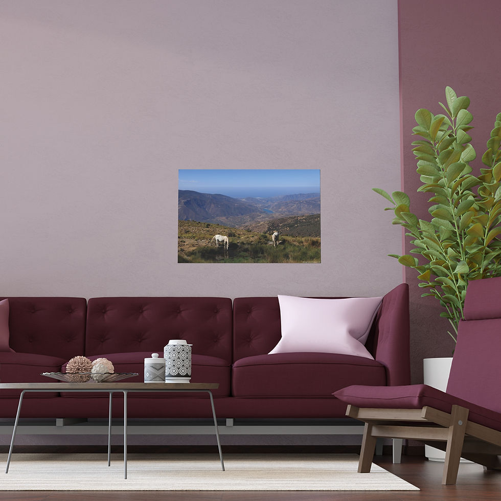 Thumbnail: Weathered Skin 022 | Vibrant Indoor/Outdoor Silk Poster | 30"x20" |