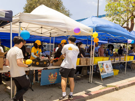 Community in ACTION