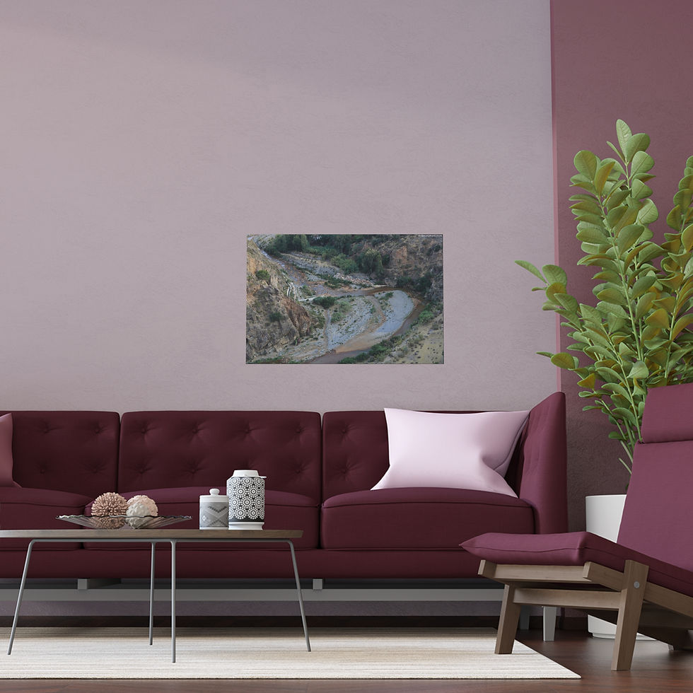 Thumbnail: Weathered Skin 013 | Vibrant Indoor/Outdoor Silk Poster | 30"x20" |