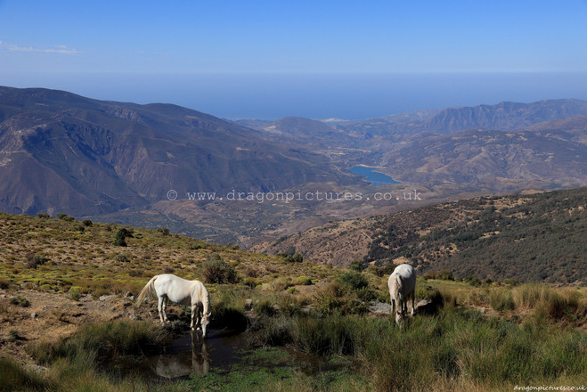 Full-frame 3:2 authentic landscape photograph of the A-44 motorway, Rules Reservoir, and the Alboran Sea from above Capileira, Las Alpujarras, Granada, Spain - straight photography with no colour enhancement, ideal for hotel decor.