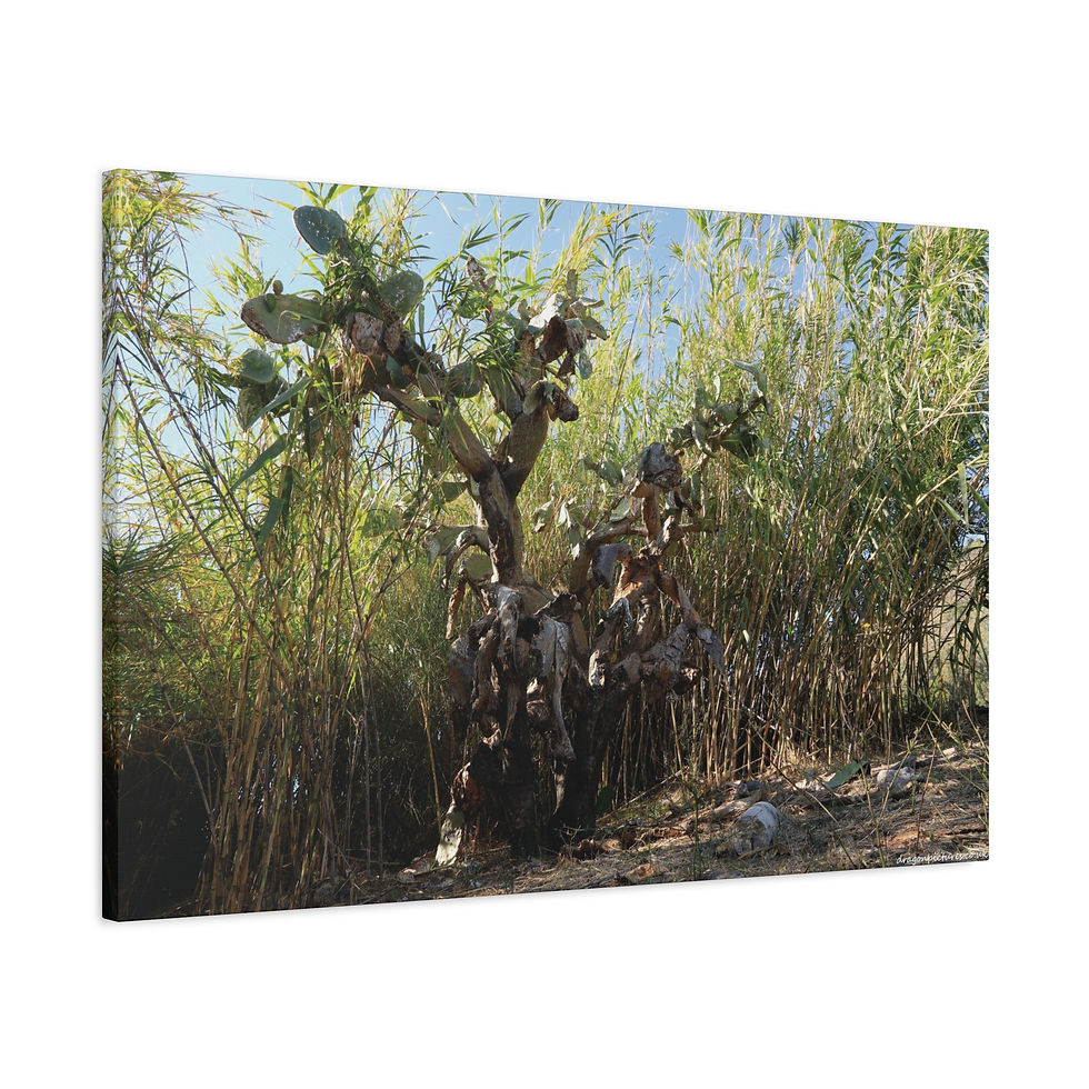 Thumbnail: Atoms Animated 007 | Canvas Print | Mirror Sides | 36"x24" |