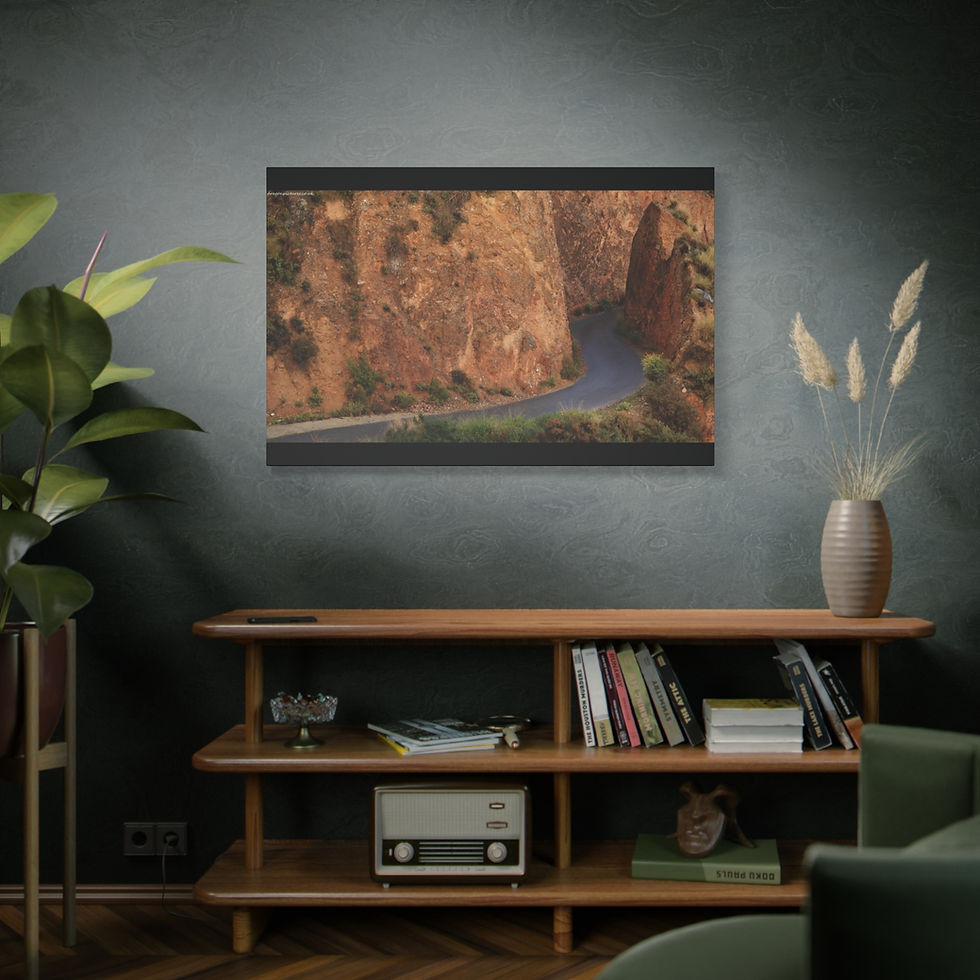 Thumbnail: Weathered Skin 007 | Canvas Print | Mirror Sides | 48"x32" |