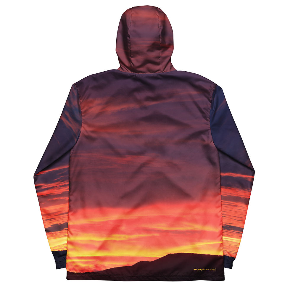 Fire In The Sky 096/038 - All-Over Print Men’s Windbreaker