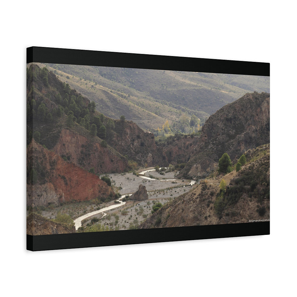 Thumbnail: Weathered Skin 002 | Canvas Print | Mirror Sides | 24"x16" | 30"x20" |