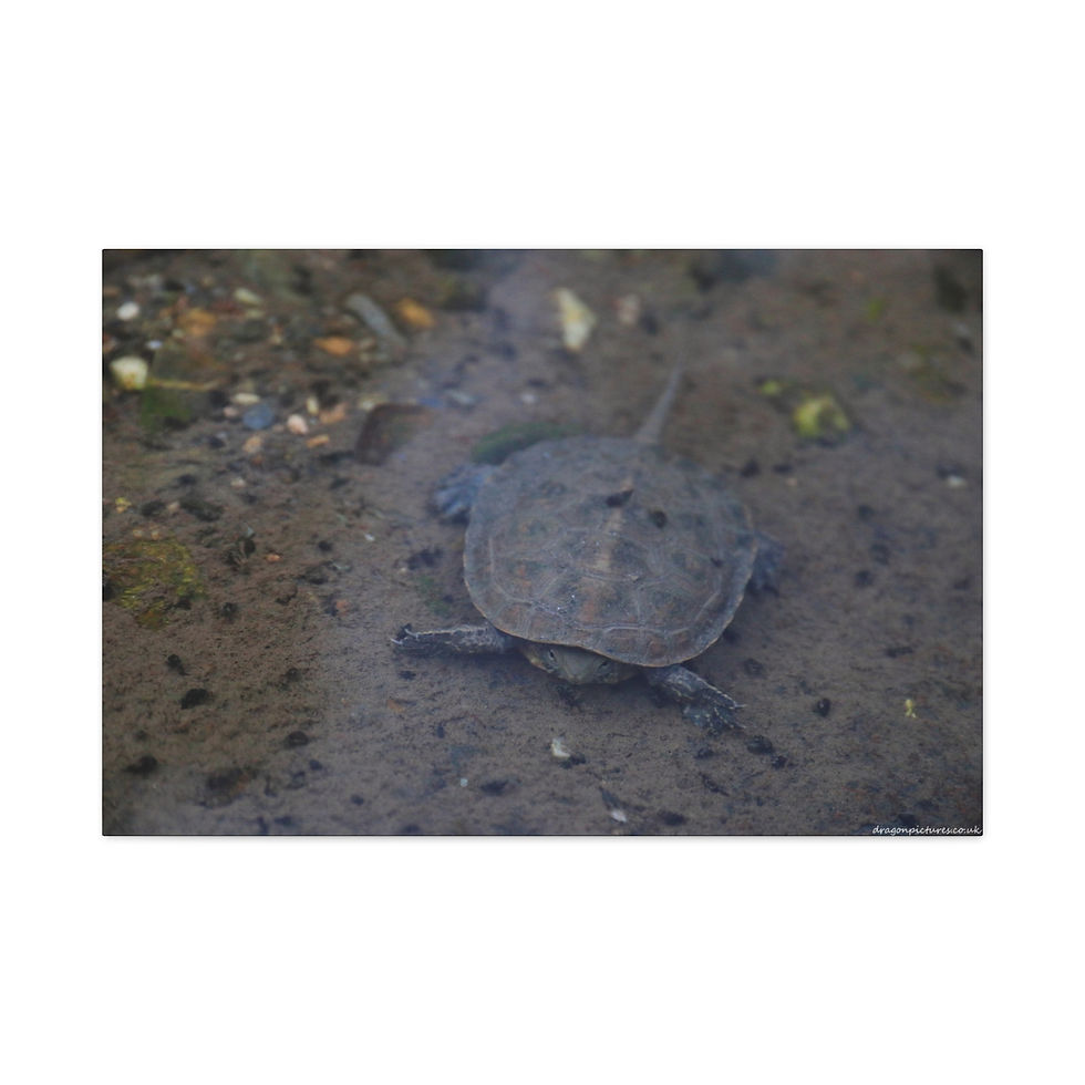 Thumbnail: Atoms Animated 012 | Canvas Print | Mirror Sides | 36"x24" |