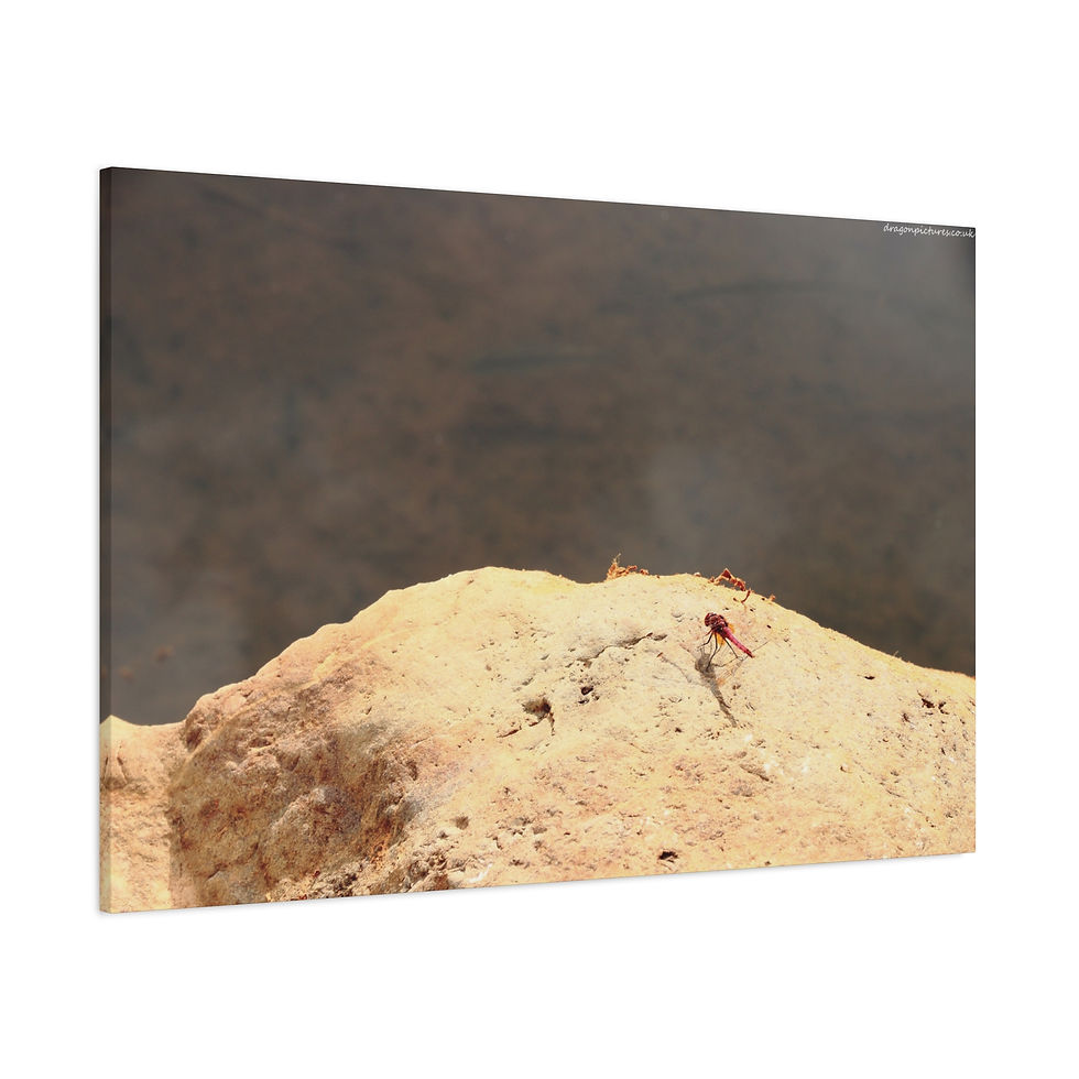 Thumbnail: Atoms Animated 011 | Canvas Print | Mirror Sides | 48"x32" |