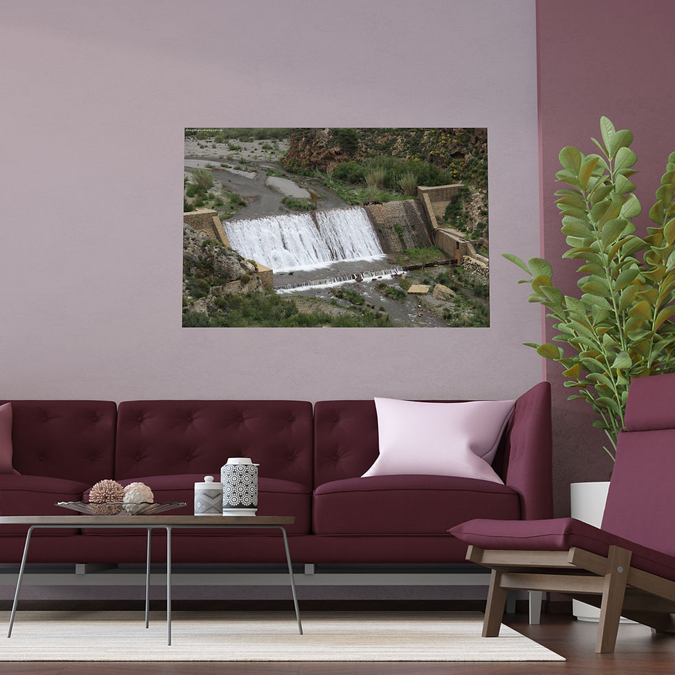 Thumbnail: Weathered Skin 009 | Vibrant Indoor/Outdoor Silk Poster | 48"x32" |