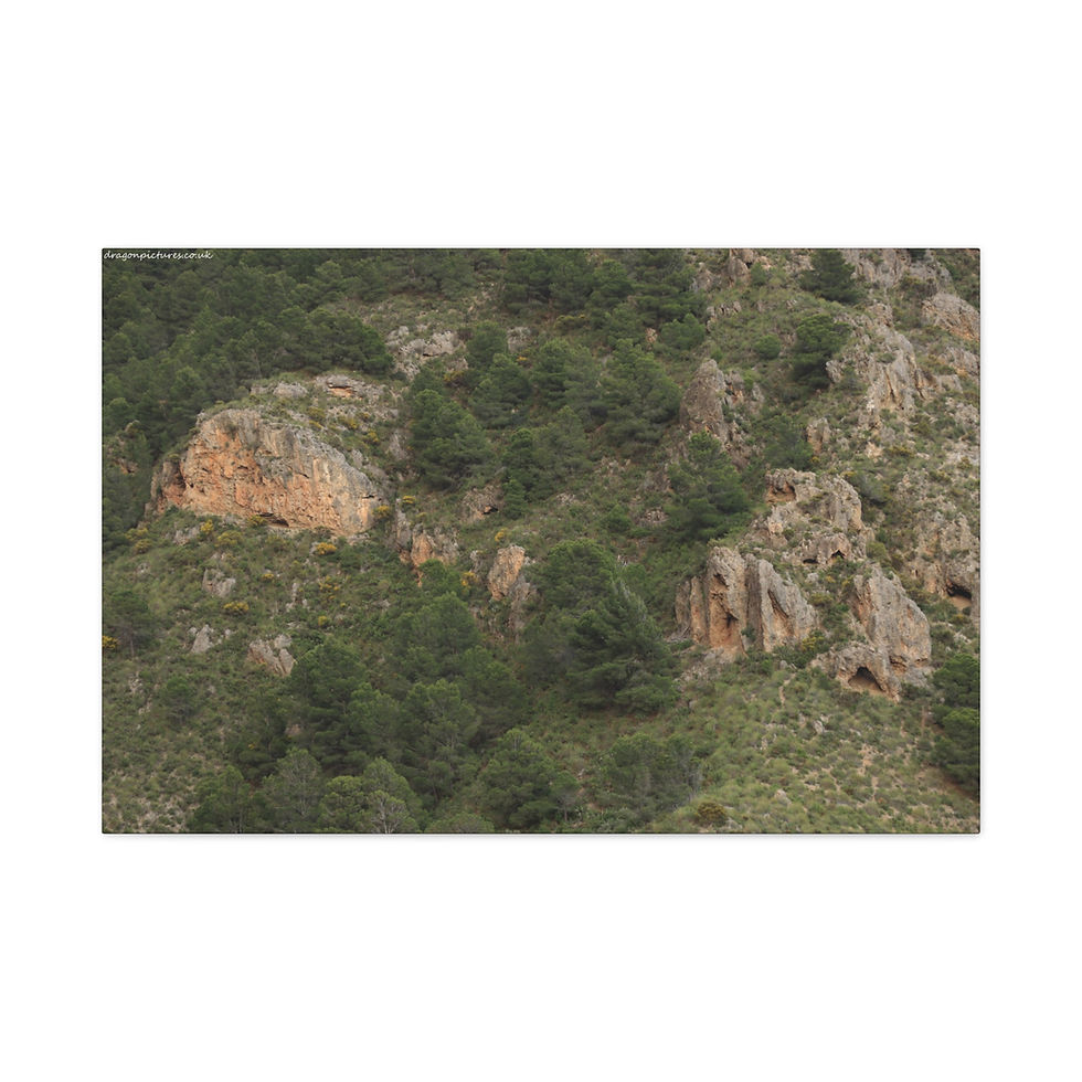 Thumbnail: Weathered Skin 008 | Canvas Print | Mirror Sides | 36"x24" |
