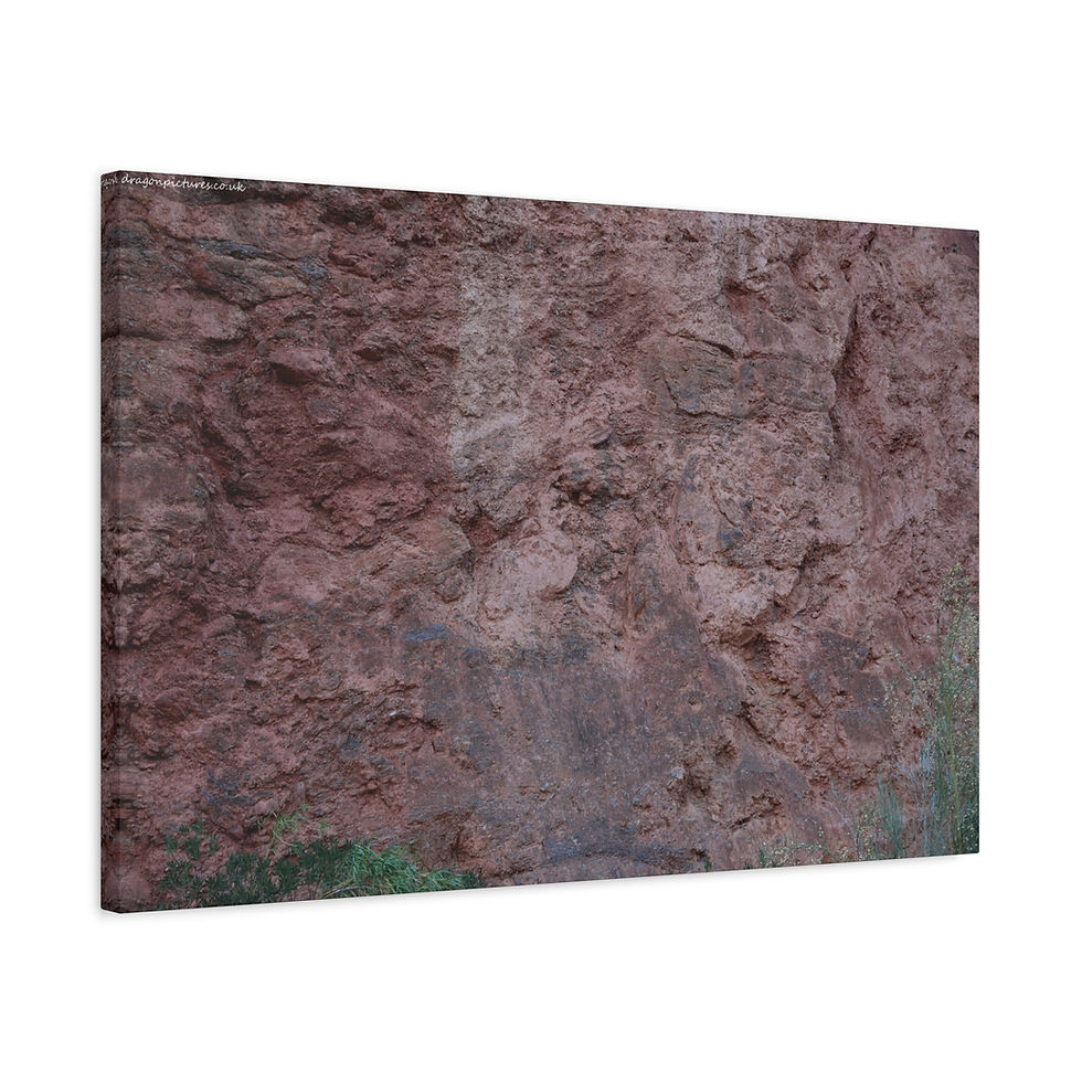 Thumbnail: Weathered Skin 014 | Canvas Print | Mirror Sides | 24"x16" | 30"x20" |