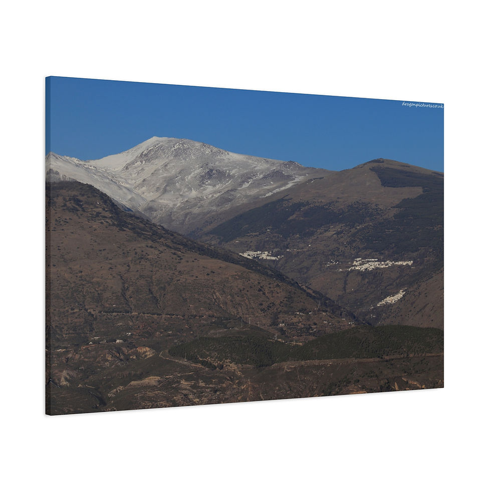 Thumbnail: Weathered Skin 021 | Canvas Print | Mirror Sides | 48"x32" |