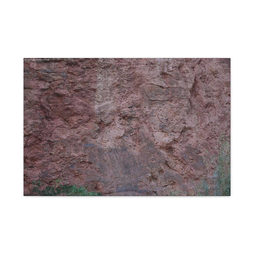Thumbnail: Weathered Skin 014 | Canvas Print | Mirror Sides | 24"x16" | 30"x20" |