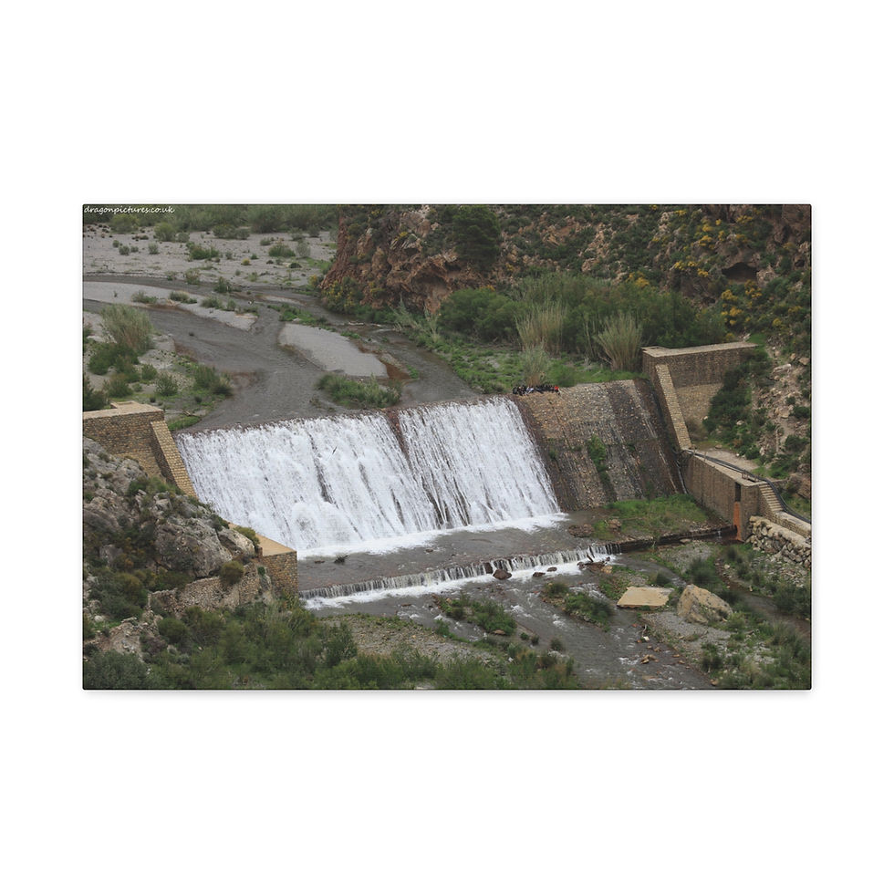 Thumbnail: Weathered Skin 009 | Canvas Print | Mirror Sides | 24"x16" | 30"x20" |