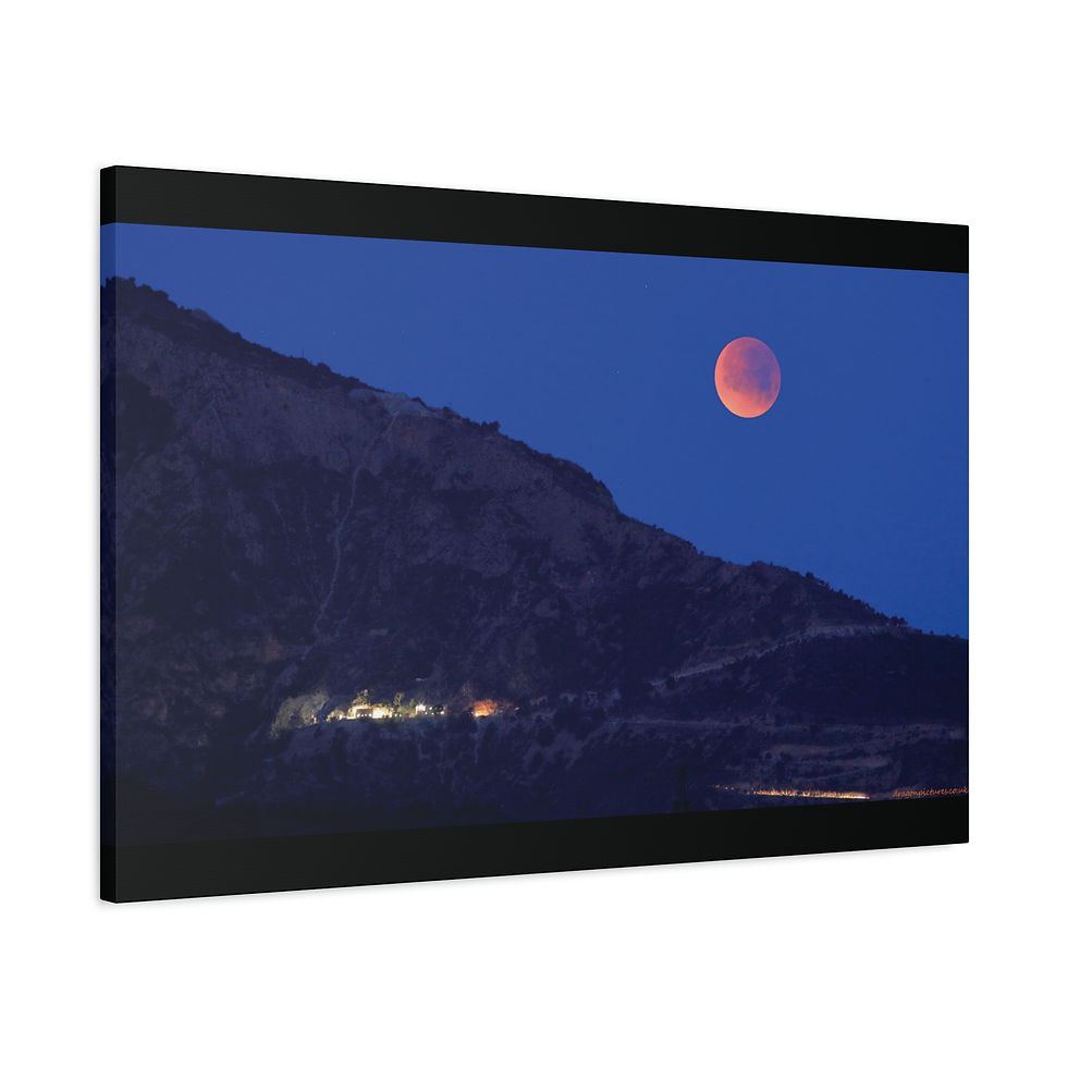 Thumbnail: Weathered Skin 020 | Canvas Print | Mirror Sides | 36"x24" |