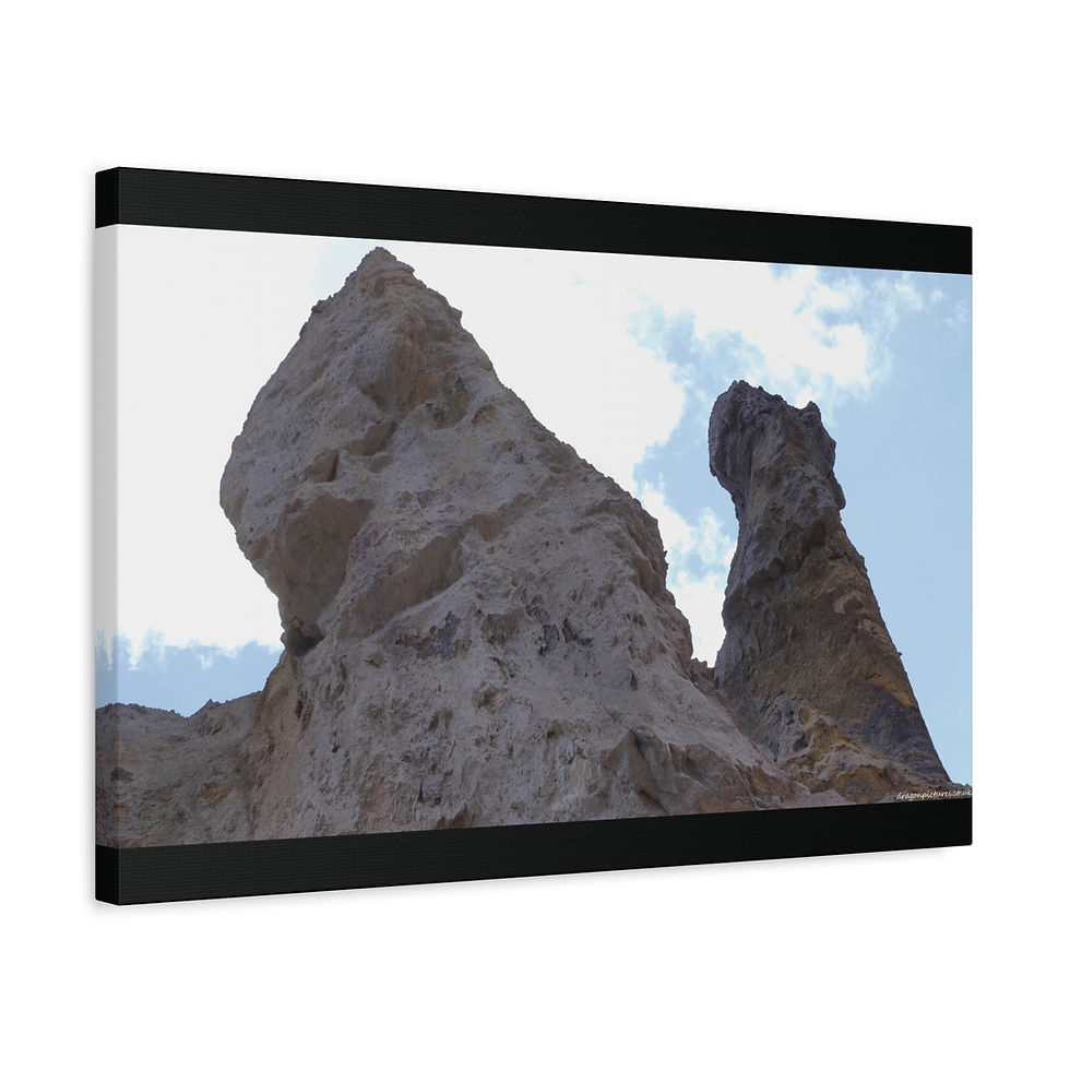 Thumbnail: Weathered Skin 011 | Canvas Print | Mirror Sides | 24"x16" | 30"x20" |