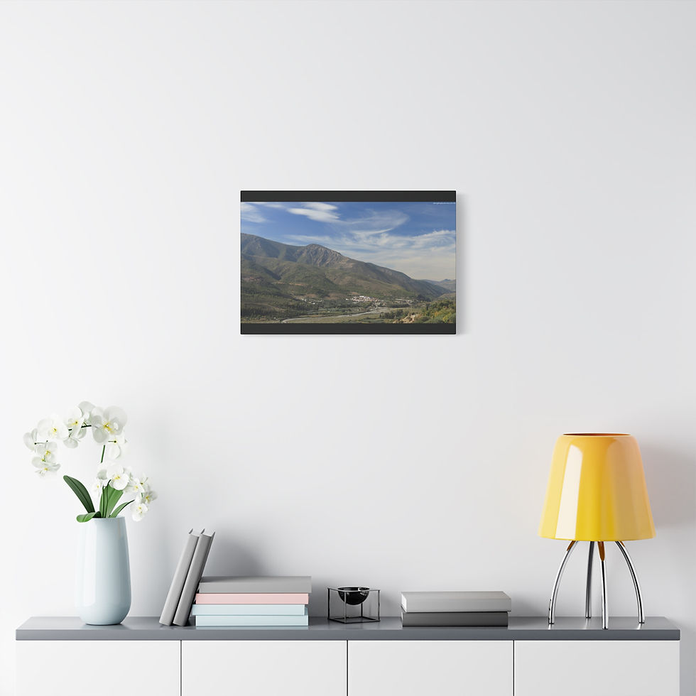Thumbnail: Weathered Skin 003 | Canvas Print | Mirror Sides | 24"x16" | 30"x20" |