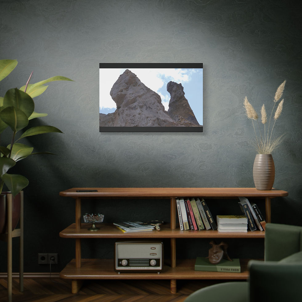 Thumbnail: Weathered Skin 011 | Canvas Print | Mirror Sides | 36"x24" |