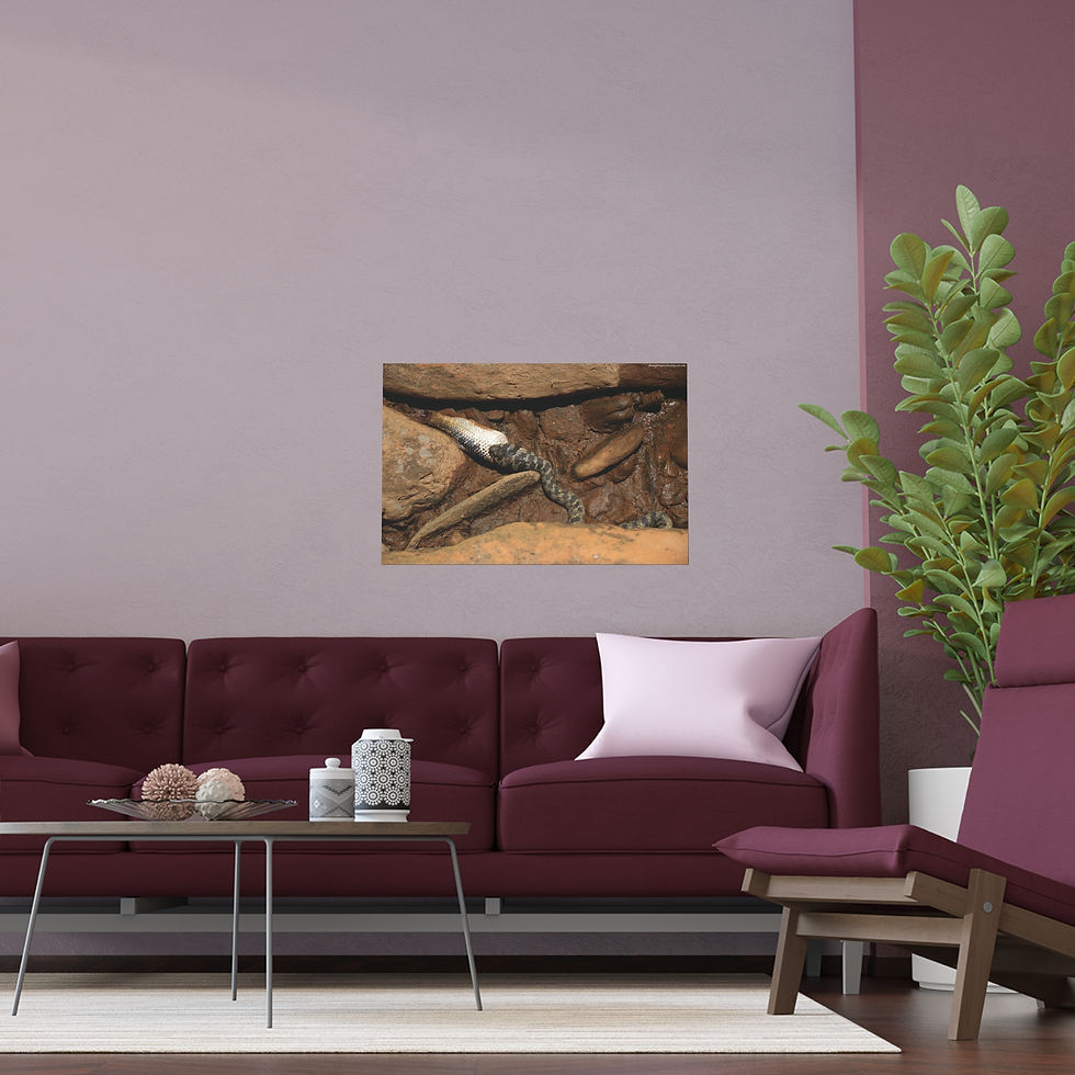 Thumbnail: Atoms Animated 005 | Vibrant Indoor/Outdoor Silk Poster | 30"x20" |
