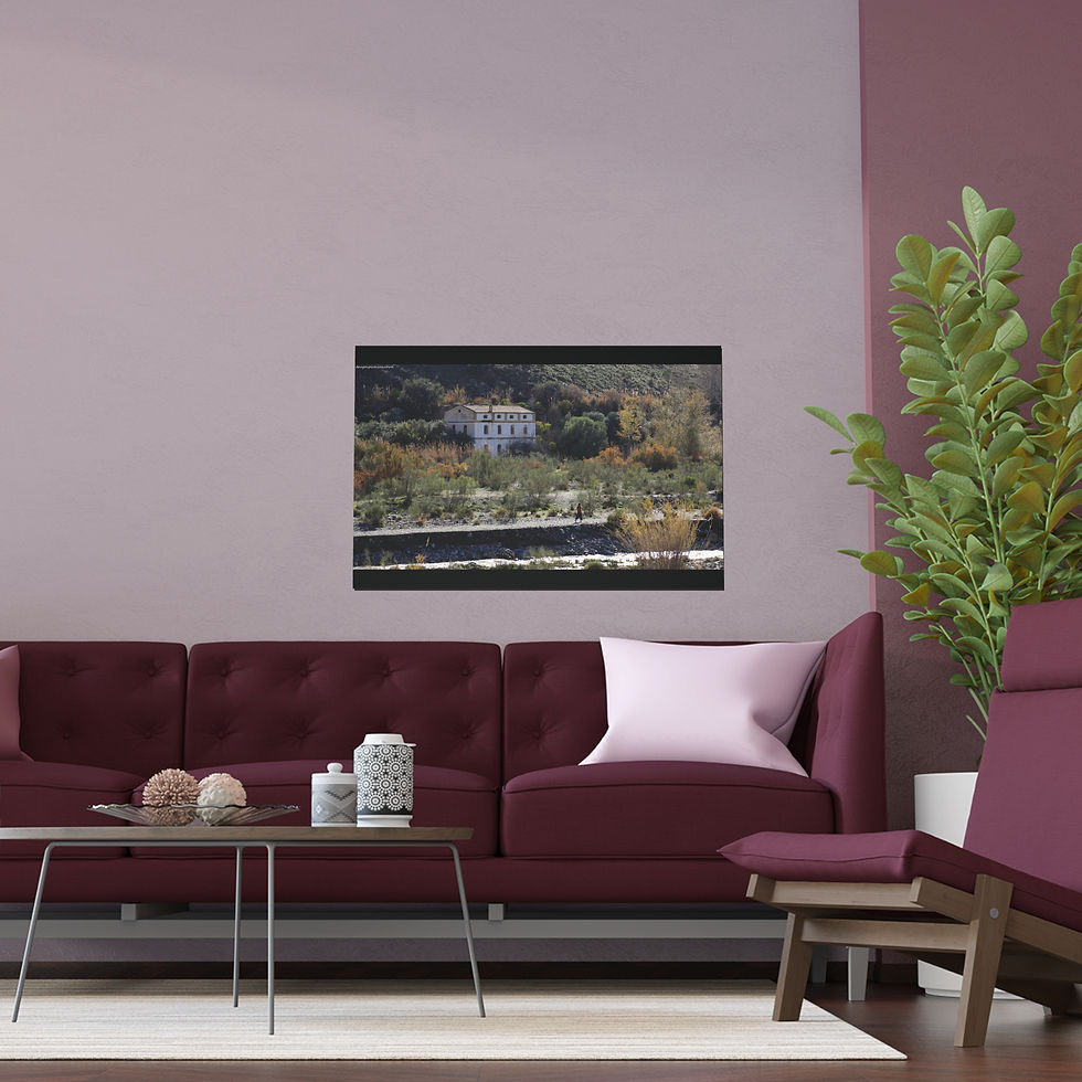 Thumbnail: Weathered Skin 004 | Vibrant Indoor/Outdoor Silk Poster | 36"x24" |