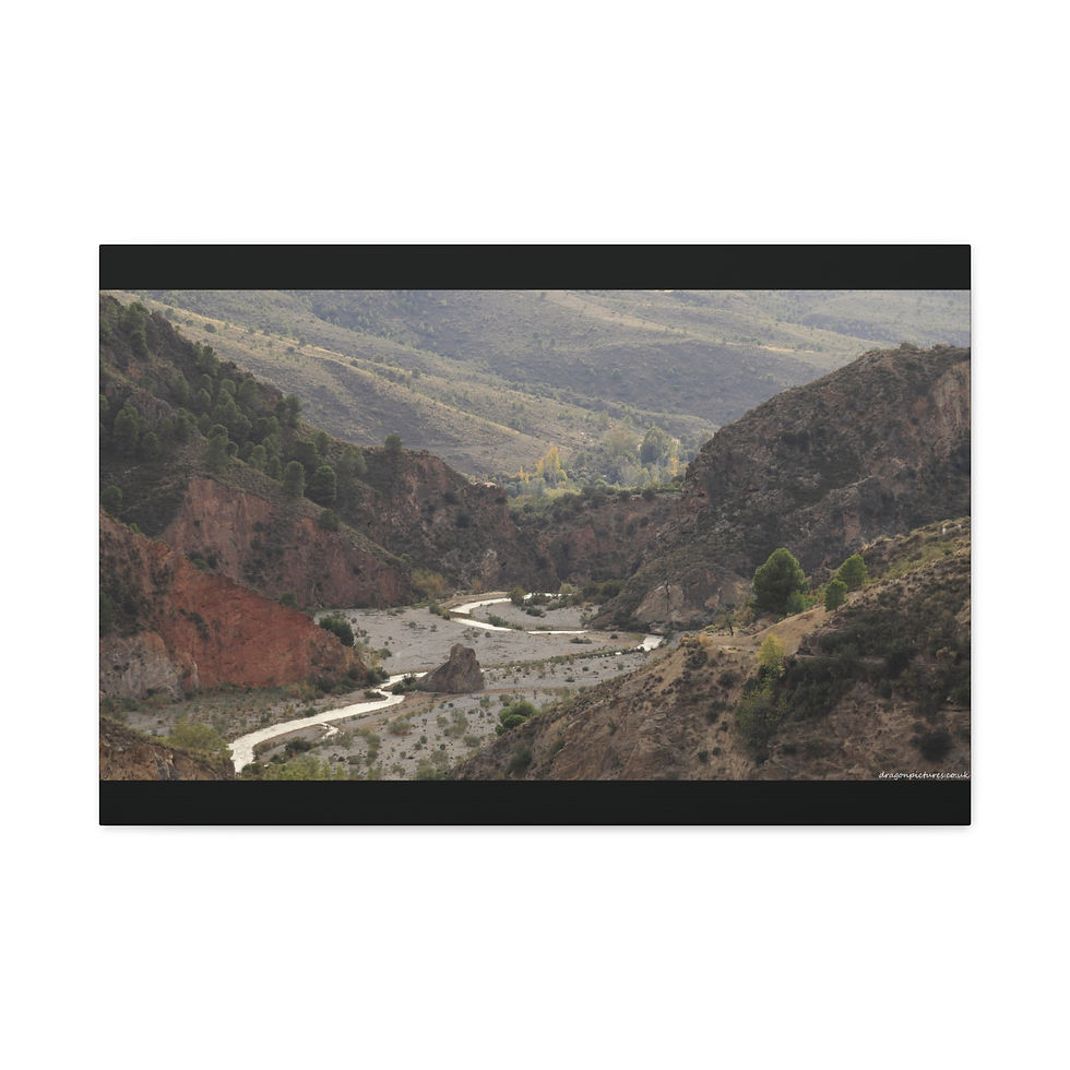 Thumbnail: Weathered Skin 002 | Canvas Print | Mirror Sides | 24"x16" | 30"x20" |
