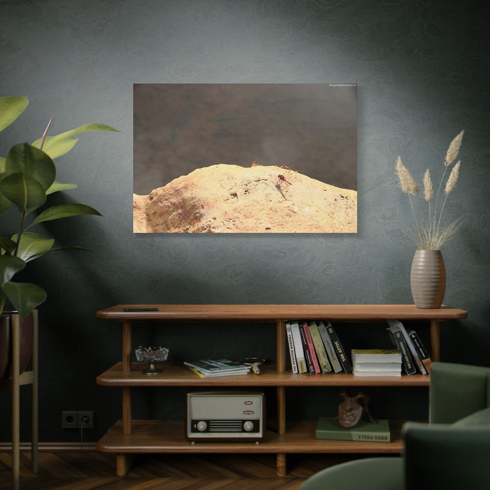 Thumbnail: Atoms Animated 011 | Canvas Print | Mirror Sides | 48"x32" |