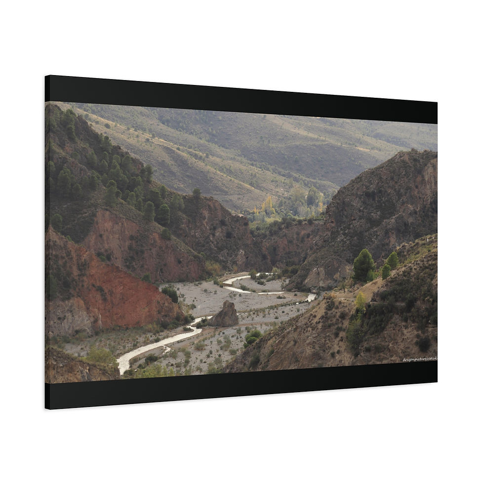 Thumbnail: Weathered Skin 002 | Canvas Print | Mirror Sides | 48"x32" |
